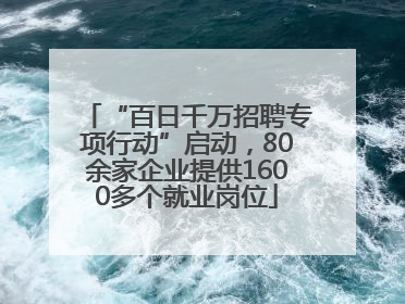 “百日千万招聘专项行动”启动，80余家企业提供1600多个就业岗位